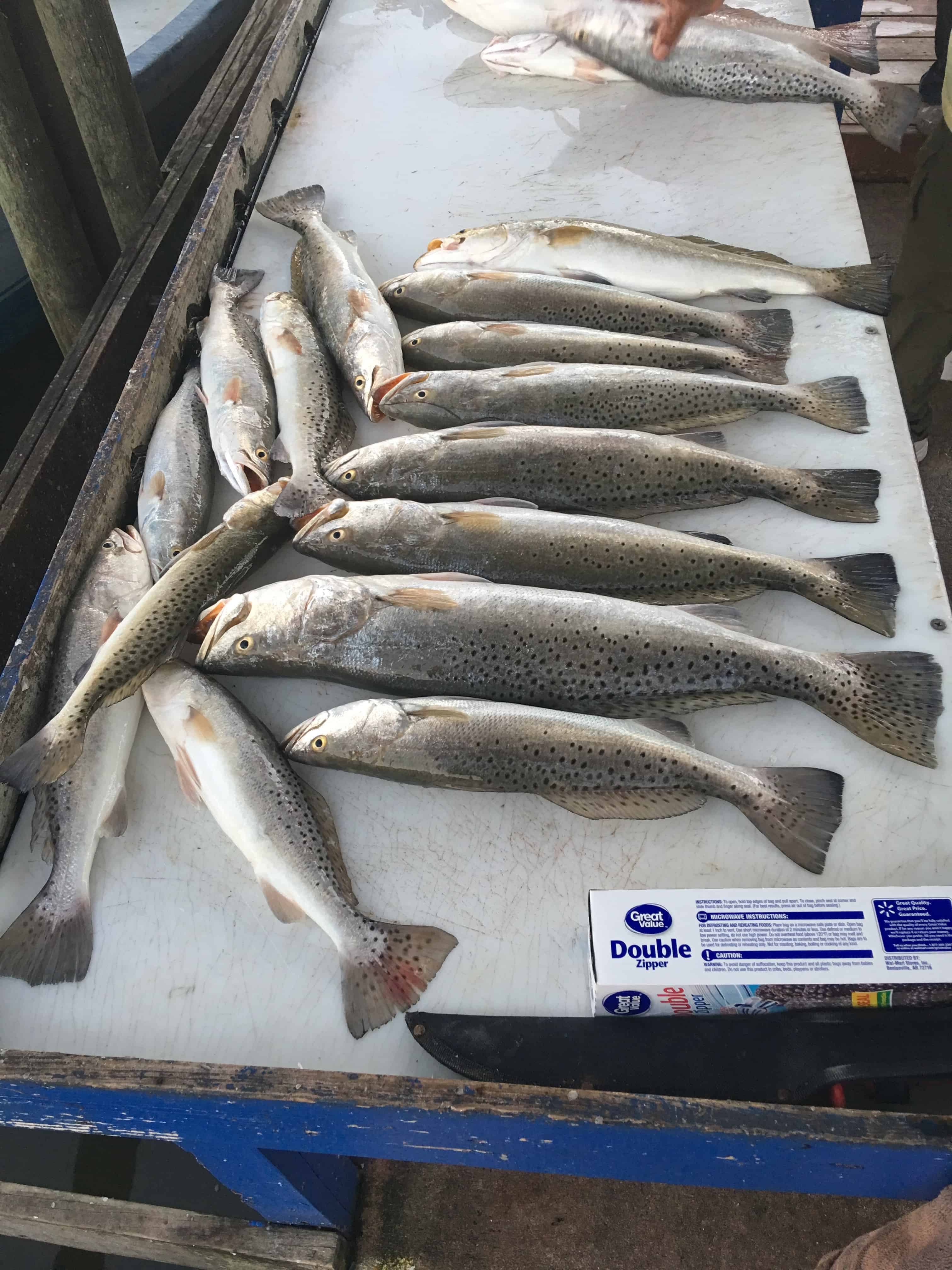 SOUTH TEXAS FISHING GUIDE