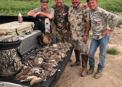 Coastal Dove Hunt - September