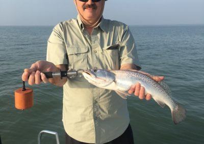 Speckled Trout - April