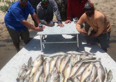 Trout and Redfish-July