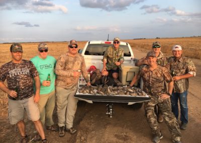 Dove Hunt 2019