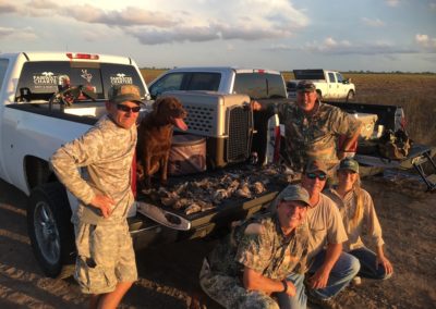 Dove Hunt