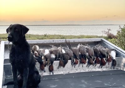 Coastal Duck Hunting