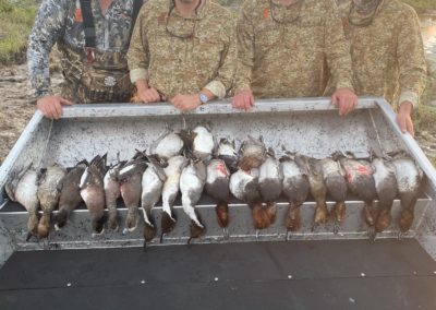 Coastal Duck Hunting-Guided Hunts