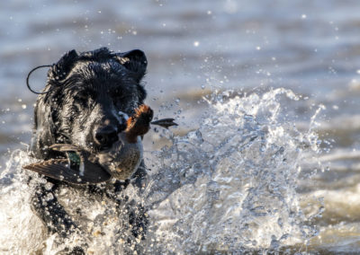 Todd Grubert, South Texas Fishing and Duck Hunting Guide