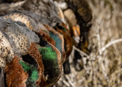 Todd Grubert, South Texas Fishing and Duck Hunting Guide