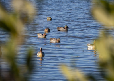 Todd Grubert, South Texas Fishing and Duck Hunting Guide